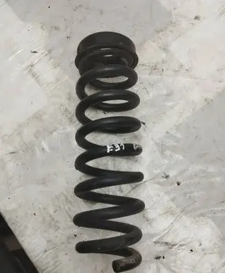 Rear coil spring
