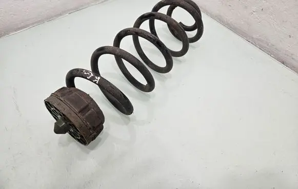 Rear coil spring