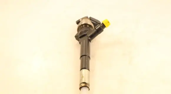 Opel Meriva B Fuel injector 55567729