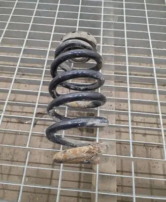 Rear coil spring