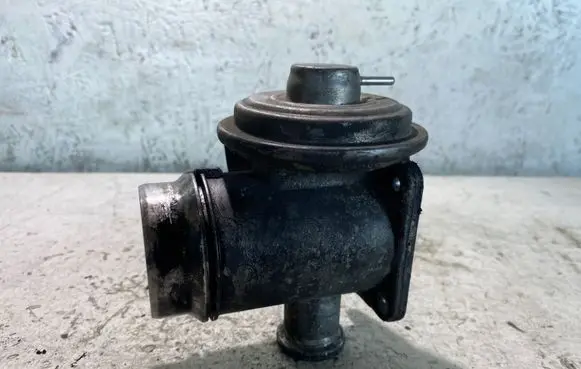 EGR valve