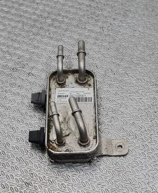 Land Rover Discovery 5 Fuel cooler (radiator) CPLA9N103AA DC102001 300035
