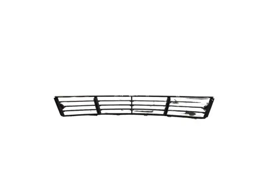 Front bumper lower grill