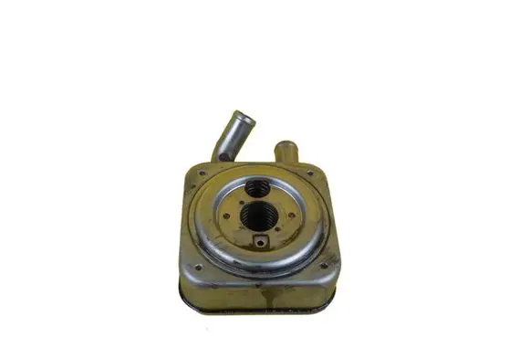 Hyundai Santa Fe Engine oil radiator D4EB