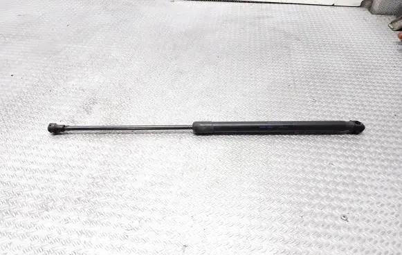 Tailgate/trunk strut/damper