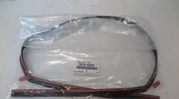 Toyota RAV 4 (XA50) Rubber seal tailgate window/glass 75575-42040