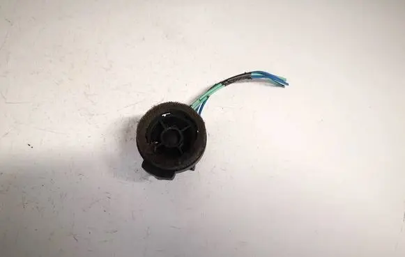 Front door speaker