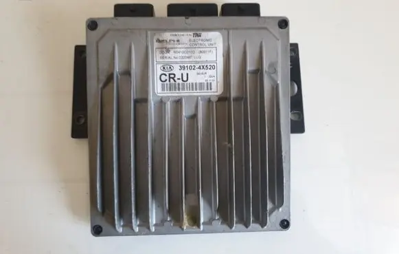 KIA Sorento Engine control unit/module 391024X520