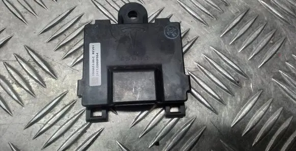 Tesla Model S Door control unit/module 106965100C