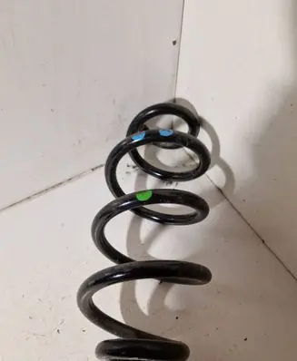 Rear coil spring