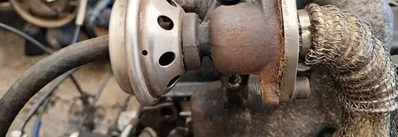 EGR valve