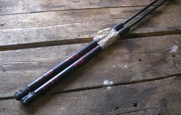 Tailgate strut