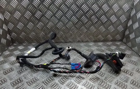 Front door wiring loom