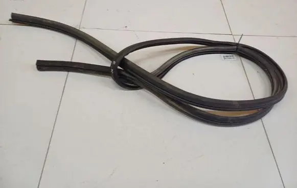Renault Scenic I Rubber seal front coupe door 