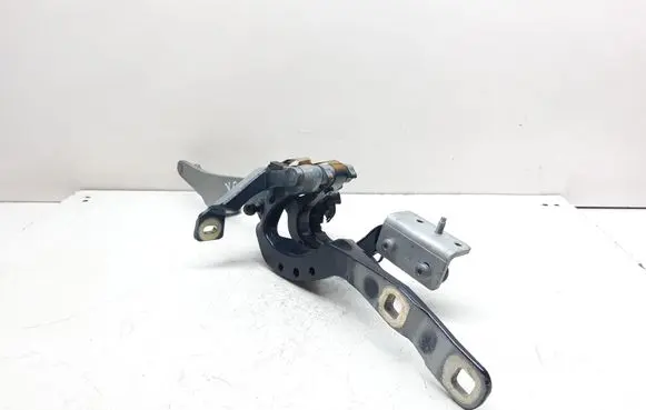Tailgate/trunk/boot hinge