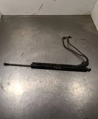 Opel Insignia A Tailgate/trunk strut/damper 13338838 B055843