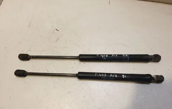 Tailgate/trunk strut/damper