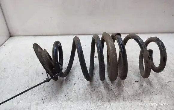 Rear coil spring