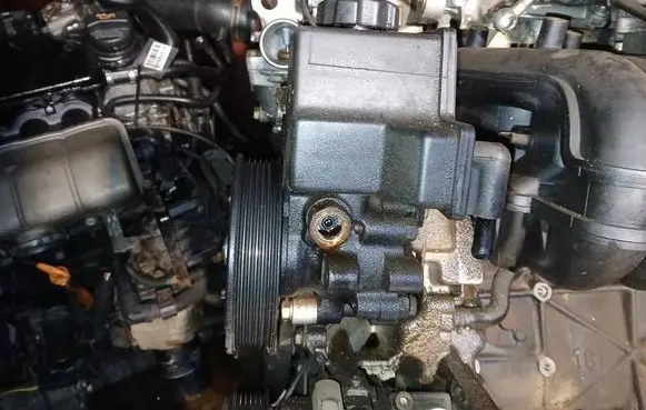 SsangYong Actyon Power steering pump 