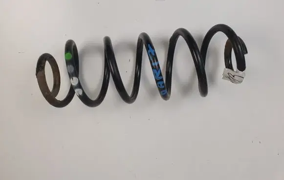 Rear coil spring