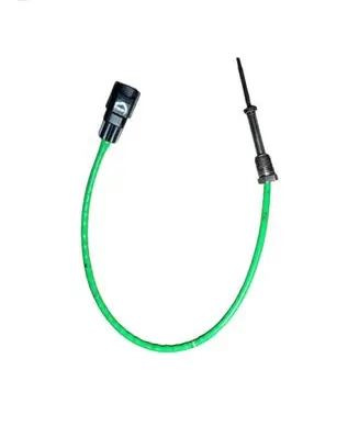 Ford Focus Exhaust gas temperature sensor F1F112B591CB