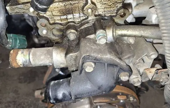 Nissan Primera Engine coolant pipe/hose 130499f600