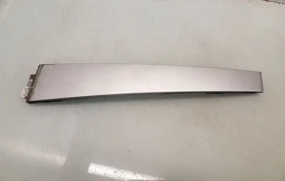 Other rear door trim element