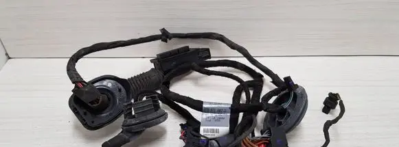 Rear door wiring loom