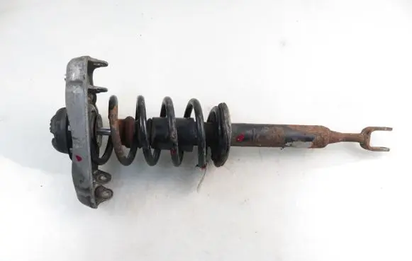 Front shock absorber with coil spring