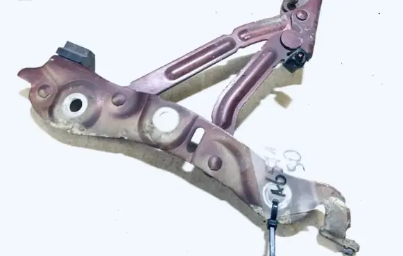 Tailgate/trunk/boot hinge