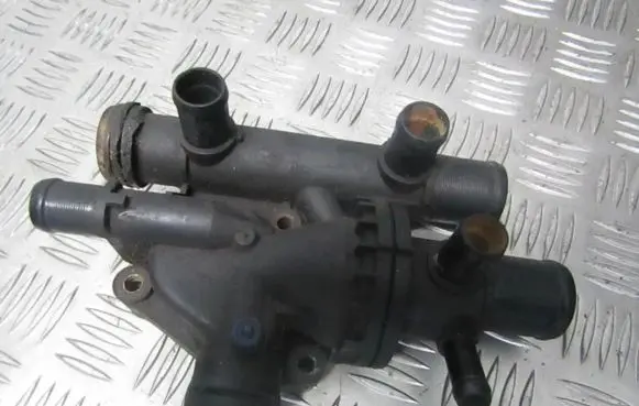 Renault Laguna II Engine coolant pipe/hose 8200154300 8200154296