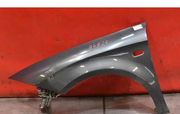 Seat Leon (1P) Fender 