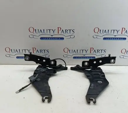 BMW X5 E70 Engine bonnet/hood hinges 7208628