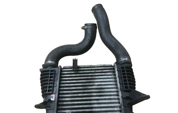 Nissan Juke I F15 Intercooler radiator 14461EM00A
