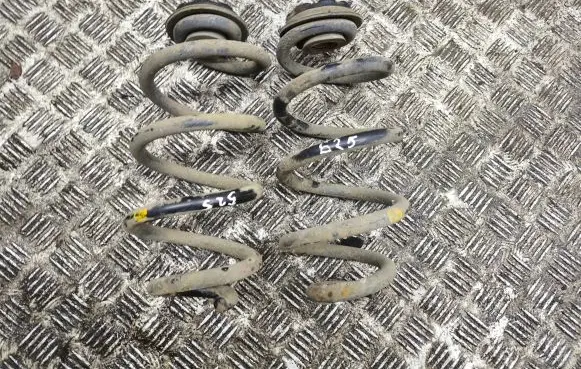 Nissan X-Trail T31 Rear coil spring
