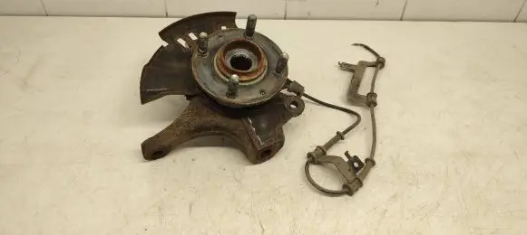 Hyundai i20 (PB PBT) Front wheel hub spindle knuckle