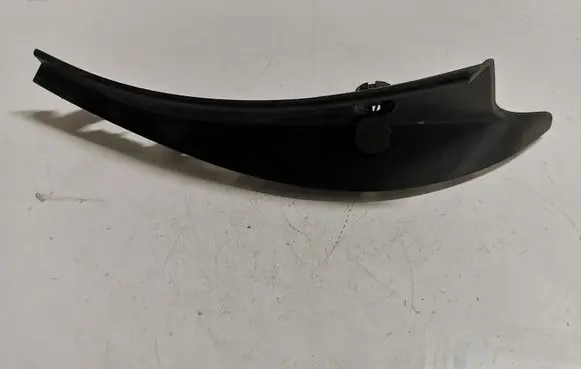 Rear/tail light trim molding