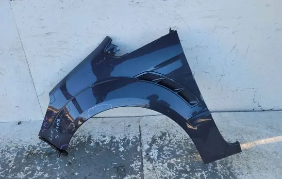 Ford S-MAX Fender
