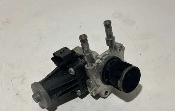 Citroen C5 Aircross EGR valve 9829870080