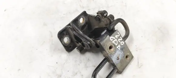 Rear door lower hinge