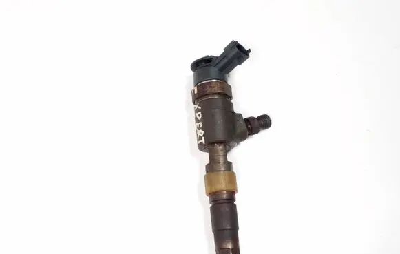 Peugeot Expert Fuel injector 0445110340 870692