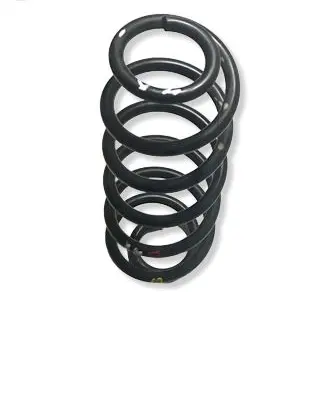 Lexus UX Rear coil spring 