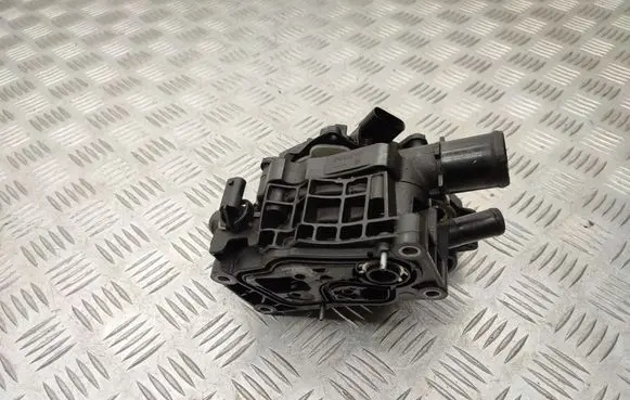 Thermostat/thermostat housing