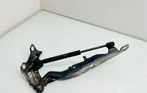 Volvo V70 Engine bonnet/hood hinges 2401103B LM31385810