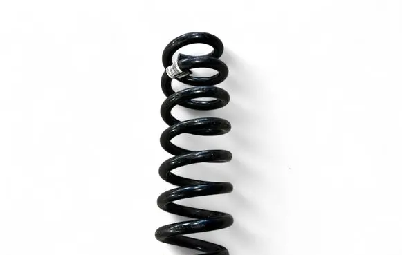 Rear coil spring