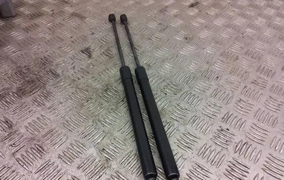 Renault Zoe Tailgate/trunk strut/damper 904502915R