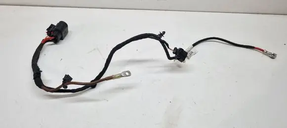 Audi Q4 Sportback e-tron Other wiring loom 1EC971111
