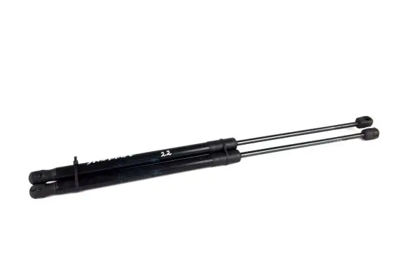 Dacia Sandero Tailgate/trunk strut/damper 8200735264