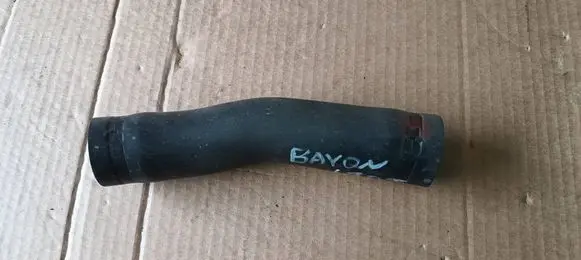 Hyundai Bayon Fuel tank filler neck pipe 31036Q0000