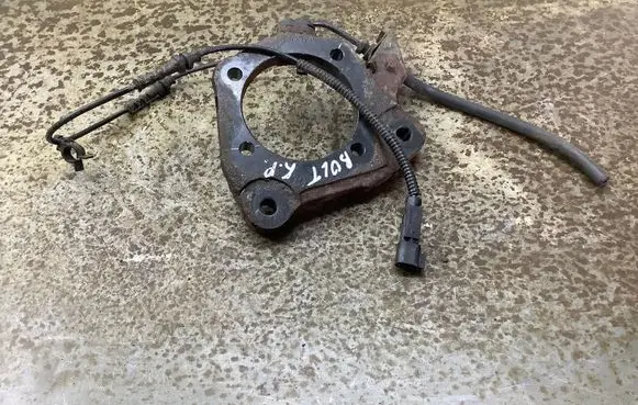 Rear wheel hub